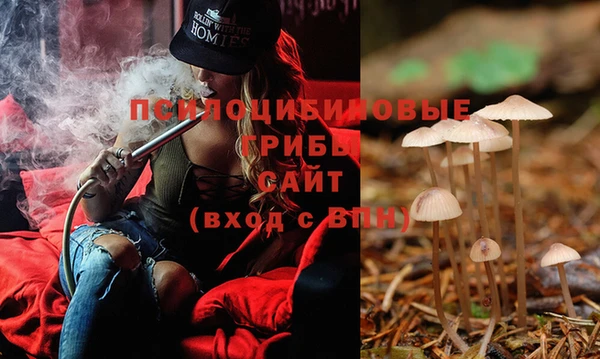 мдпв Михайловка