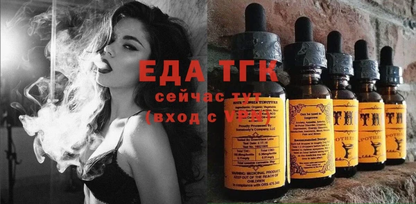 дмт Медногорск