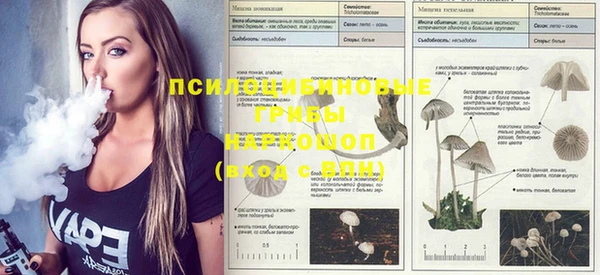 гидропоника Михайлов