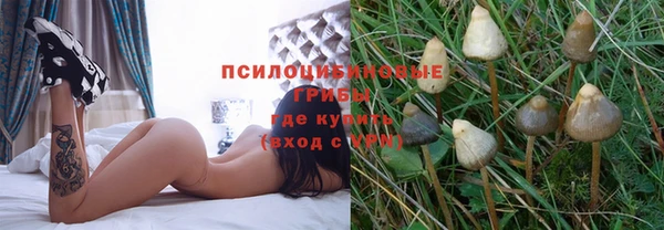 соль ск Мегион