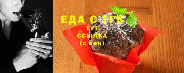 дмт Медногорск